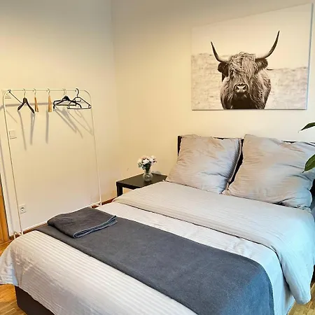 Gegenueber Frauenkirsche Dresden