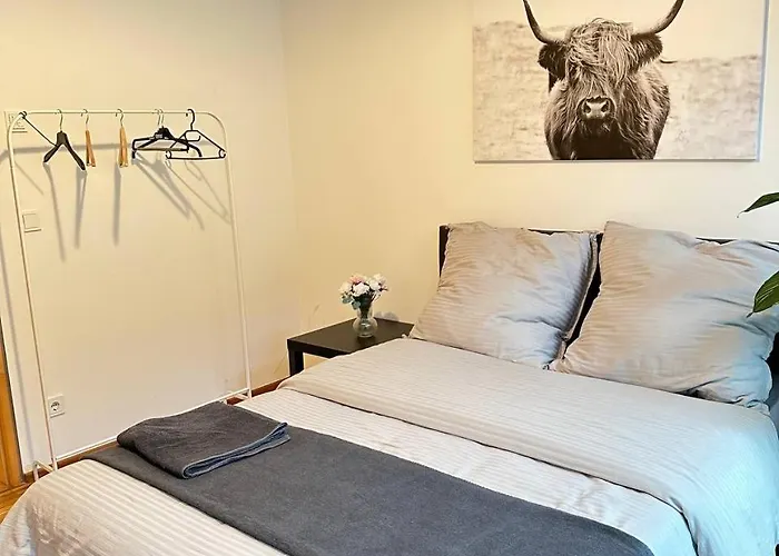 Gegenueber Frauenkirsche Drezda