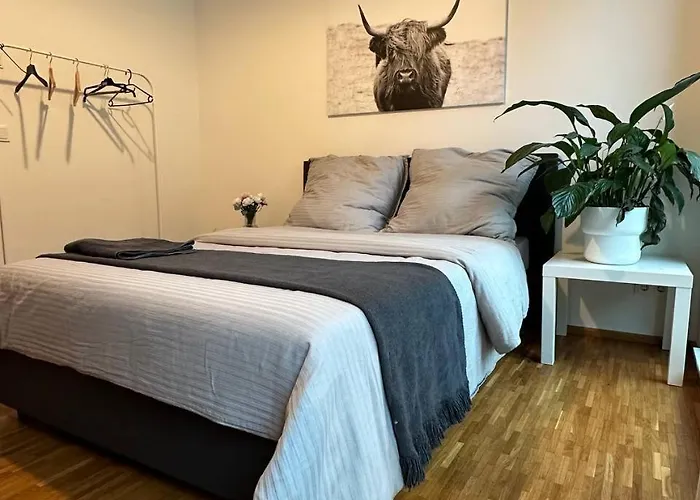 Gegenueber Frauenkirsche Homestay szállás